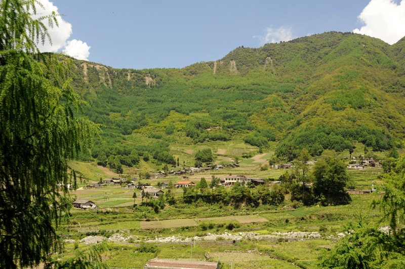 Reforestation in China