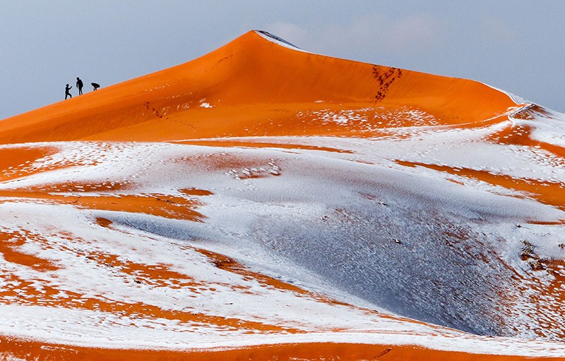 Desert snow, mudflows and monkey clones — January’s top science images