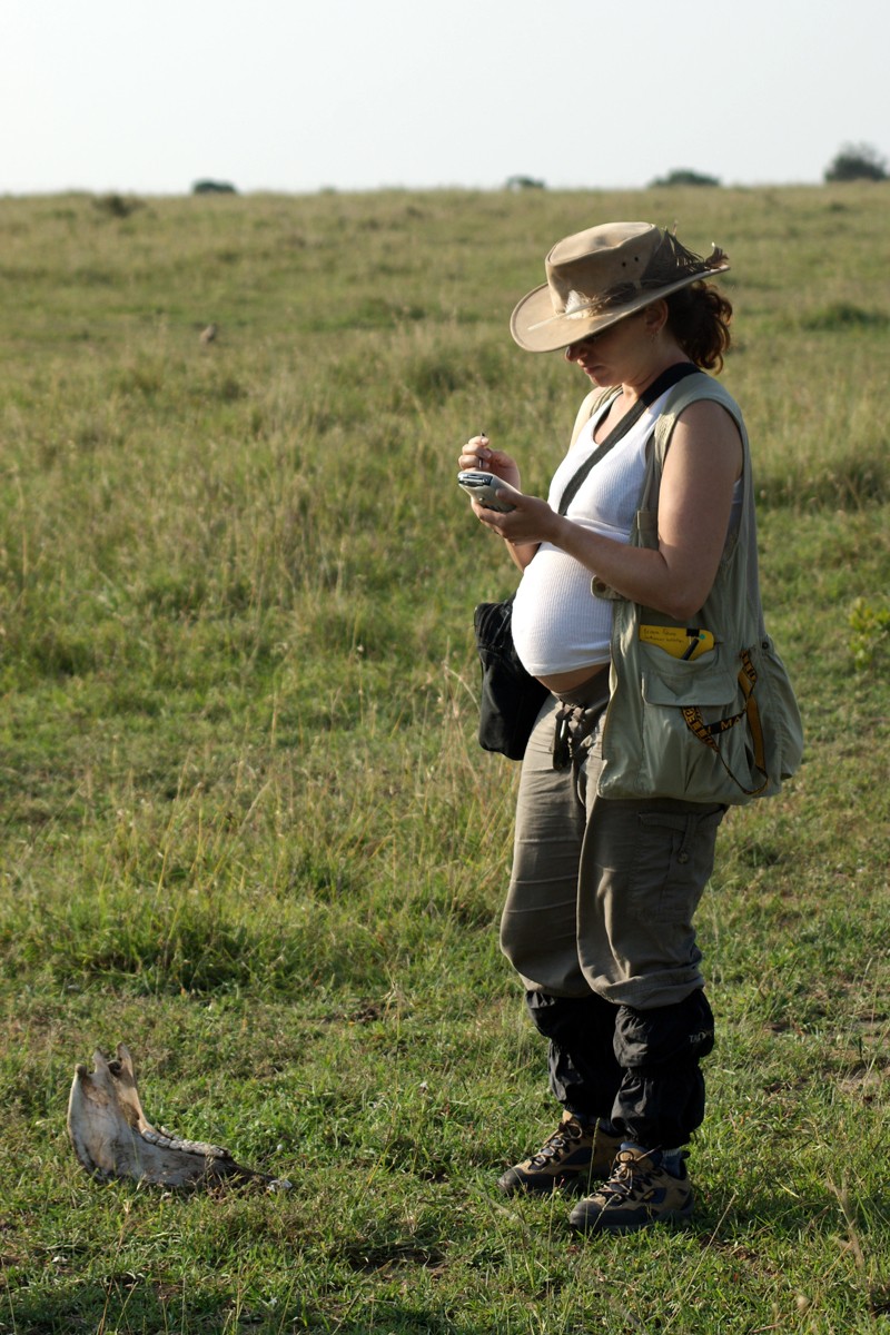 Briana Pobiner collecting data in the field while pregnant