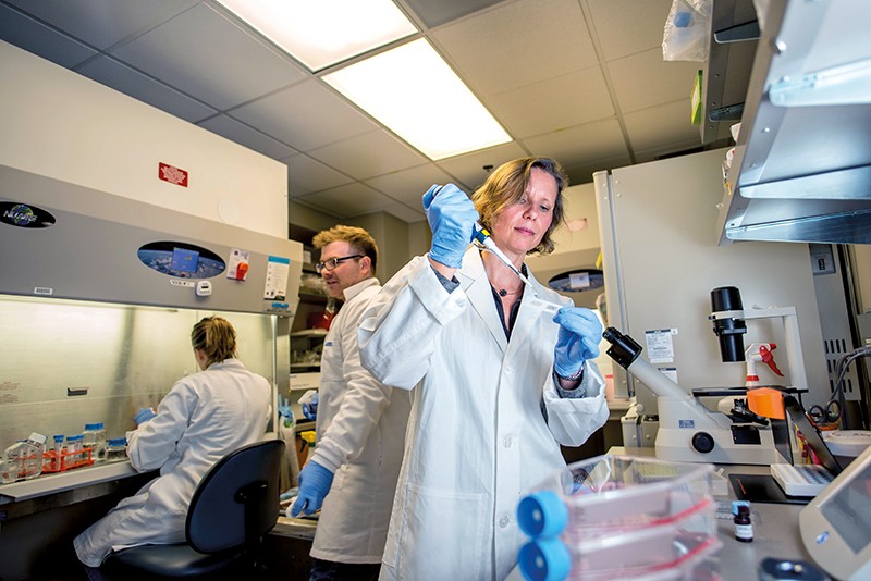 Megan Levings performs a cell-culture task in the lab with members of her research team.