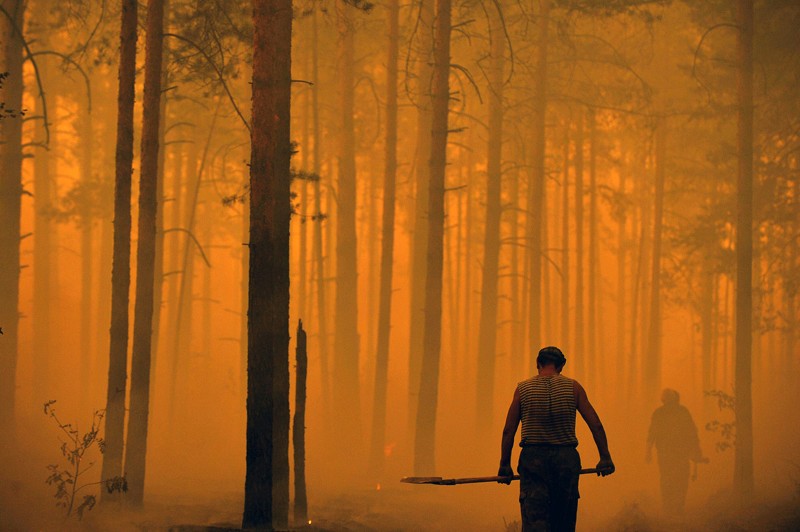 A man stands silhouetted against an orange lit forest in Russia