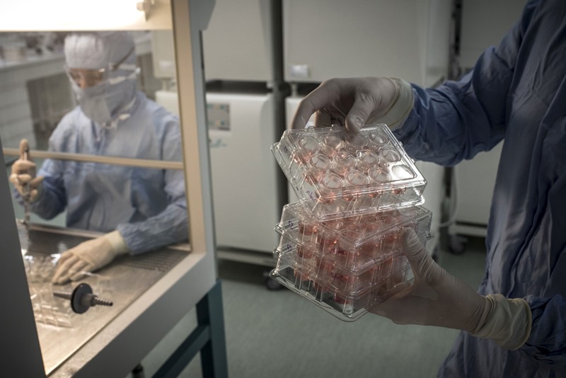 A man holds cell cultures in a laboratory