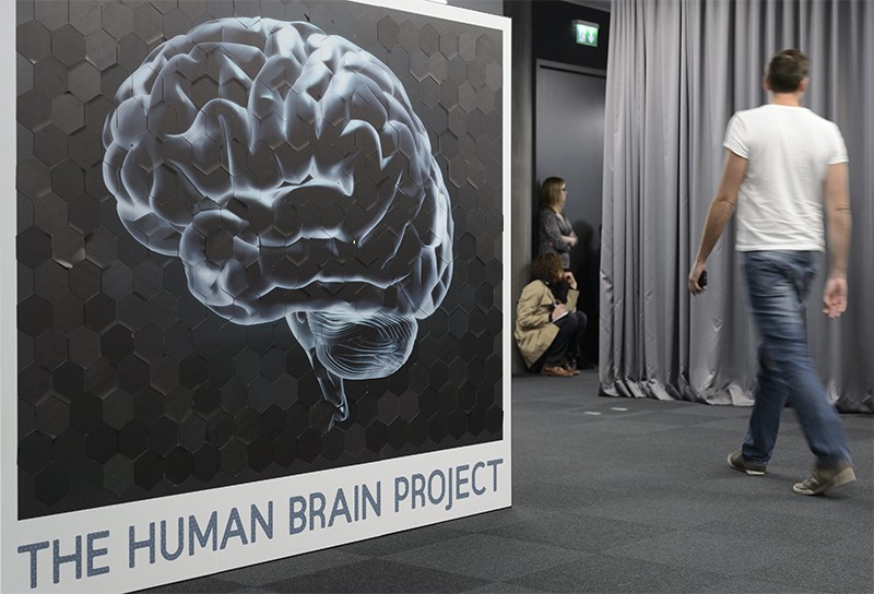 eth lausanne human brain project