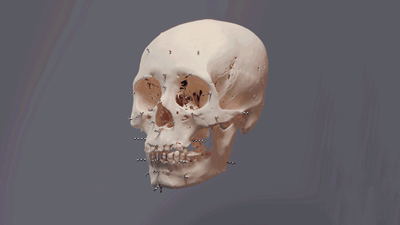 Gif de una reconstrucción digital en 3D de una cara de la momia con las piernas cruzadas.