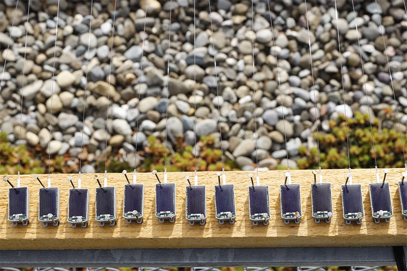 A row of ICARUS animal-tracking tags recharging their batteries in the sun.