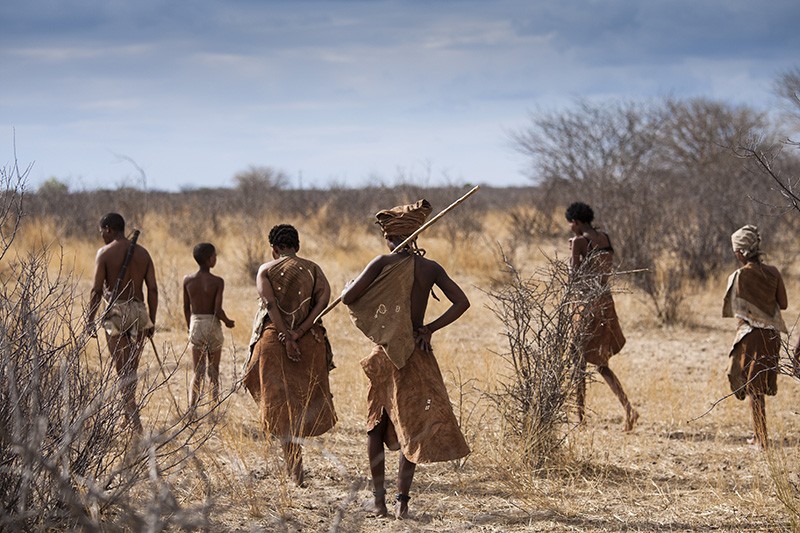 Rare genetic sequences illuminate early history in Africa