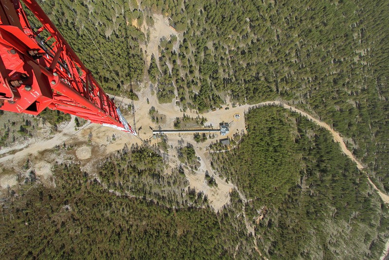 A tower rises above the forest