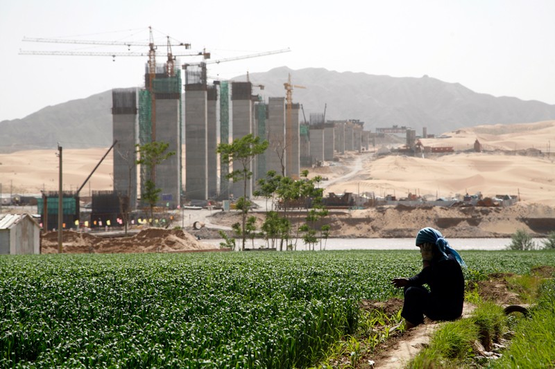 A woman works in a wheat field with a construction site in the background