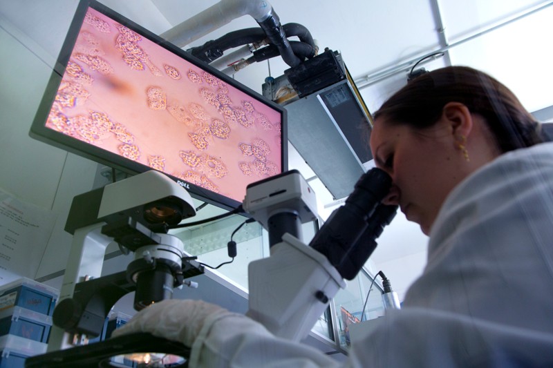 Low angle view of a female researcher looking through a microscope with magnified image of virus shown on a monitor