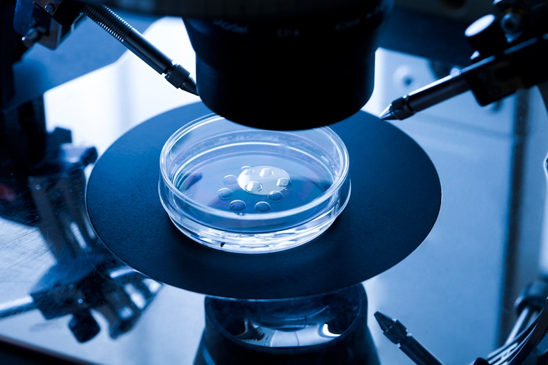 Embryo culture dish used for in vitro fertilisation