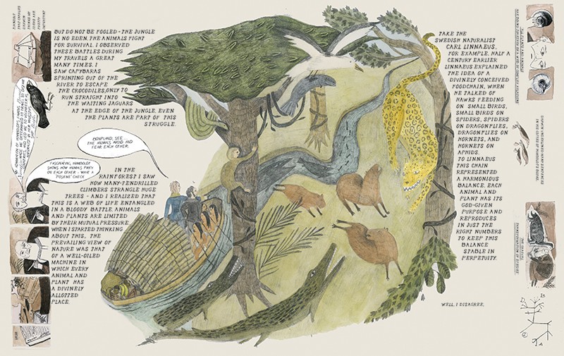 Graphic spread showing Humboldt travelling in a rainforest