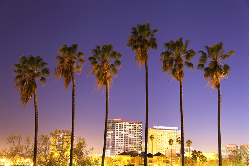 Downtown San Jose and Silicon Valley skyline with palm trees at night.