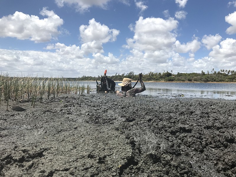 A scientist searches for arbuscular mycorrhizal fungi associated with aquatic plants in Brazil