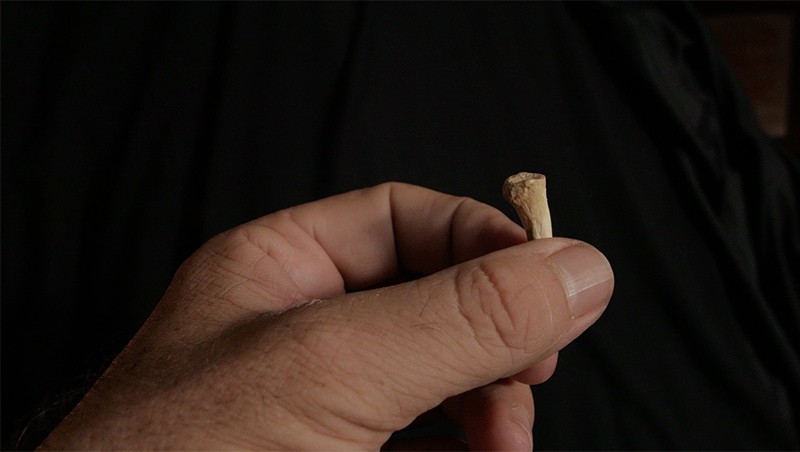 A hand holds the proximal foot phalanx bone of Homo luzonensis in front of a black background