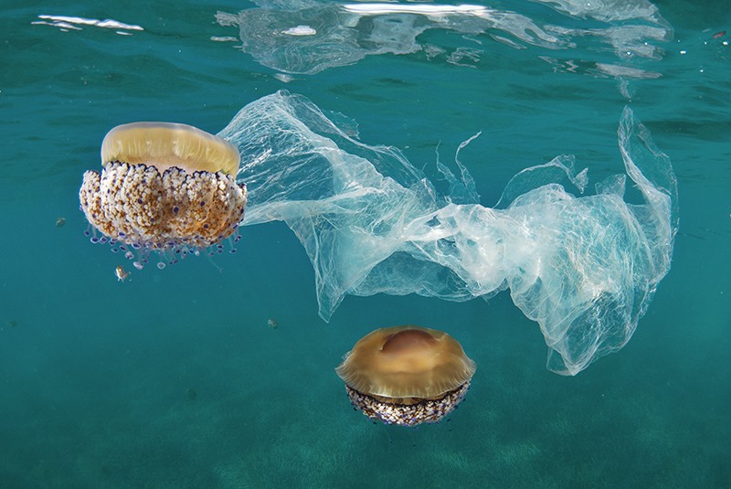 Planet's ocean-plastics problem 60-year data set