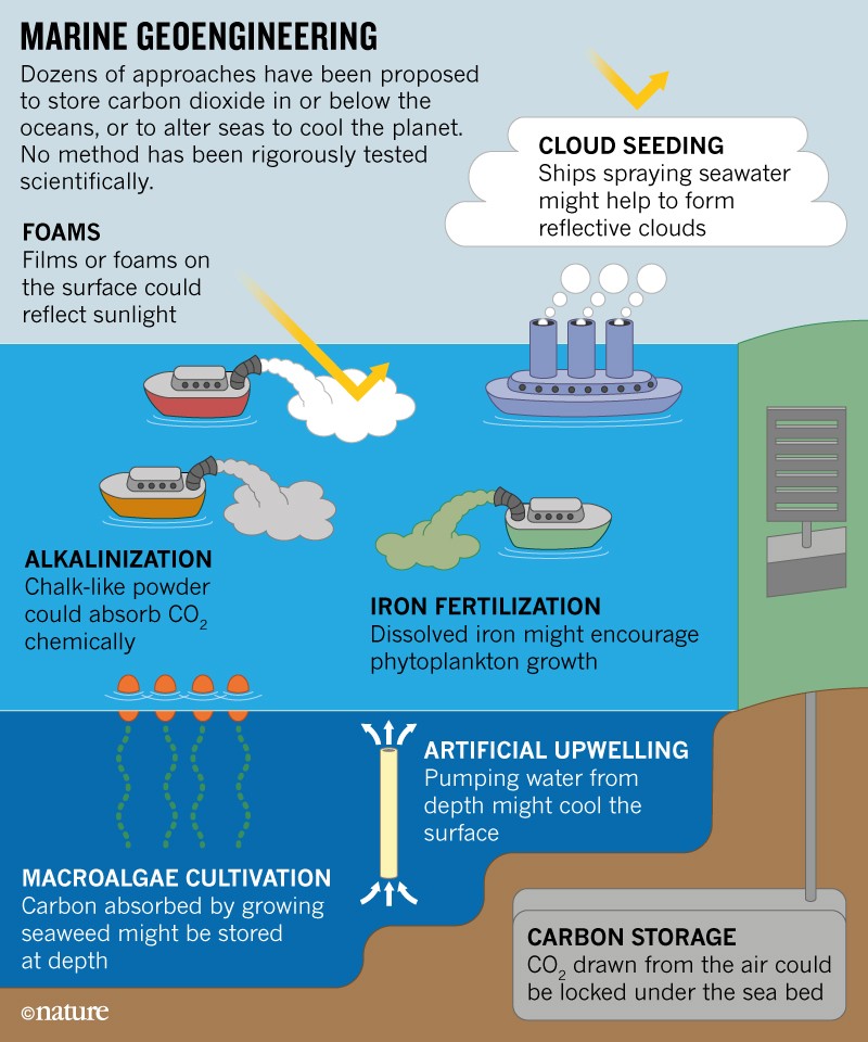 Daily briefing: Fertilize oceans or seed clouds? No one knows