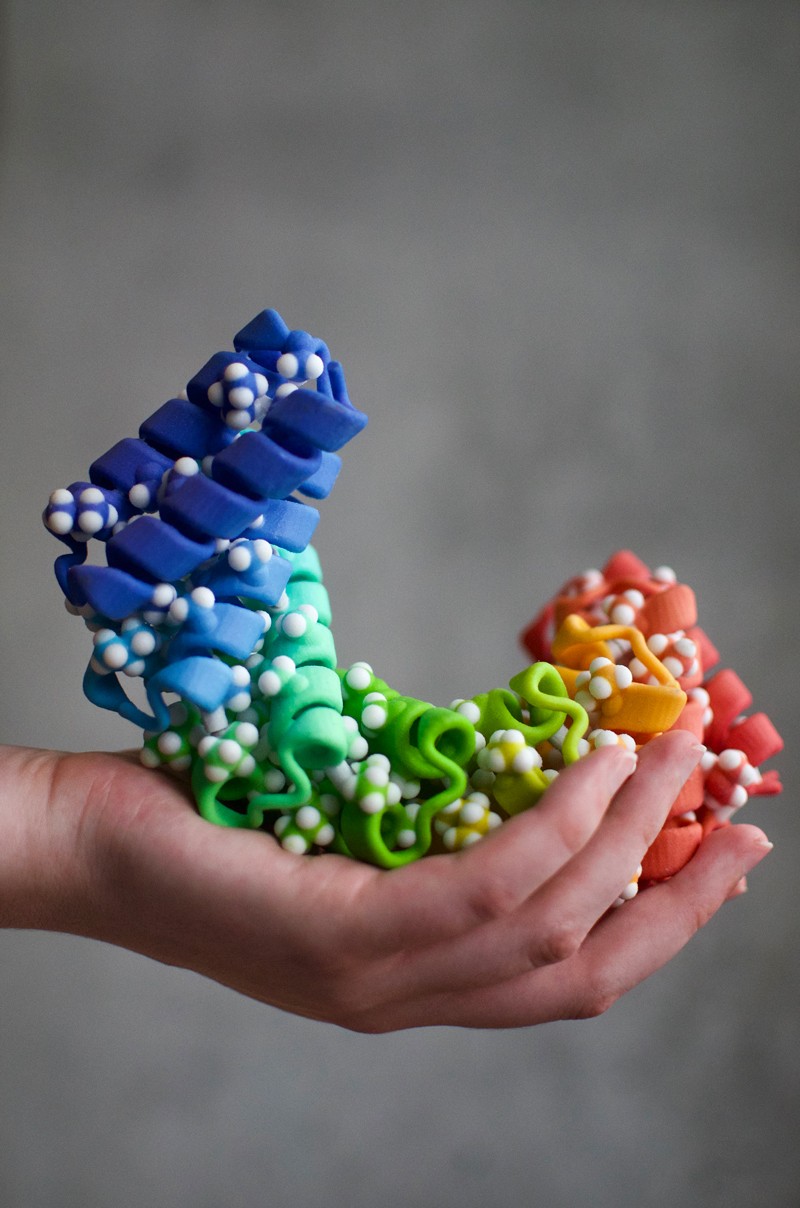 A hand holds a 3D model of a protein structure