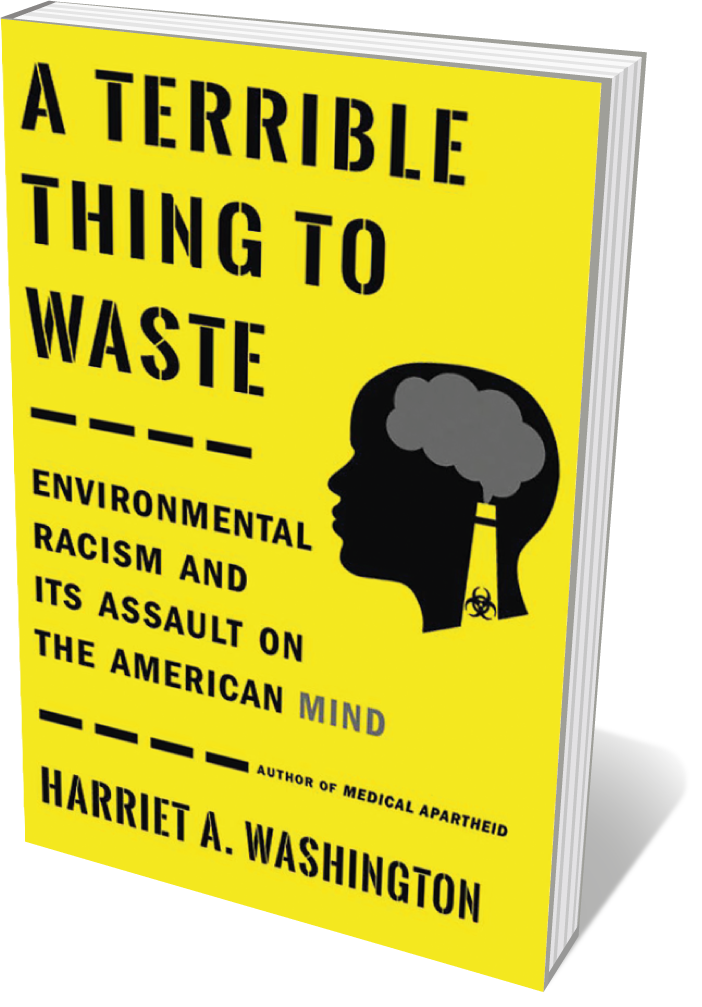 A Terrible Thing to Waste by Harriet A. Washington