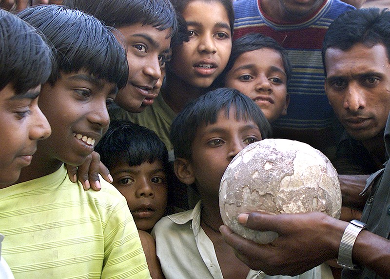 A group of children look at a dinosaur egg displayed in Balasinore