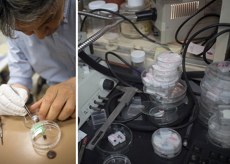 Left, Kenji Watanabe prepares a sample of hBN crystals for analysis; Right, samples of hBN sit in plastic trays.