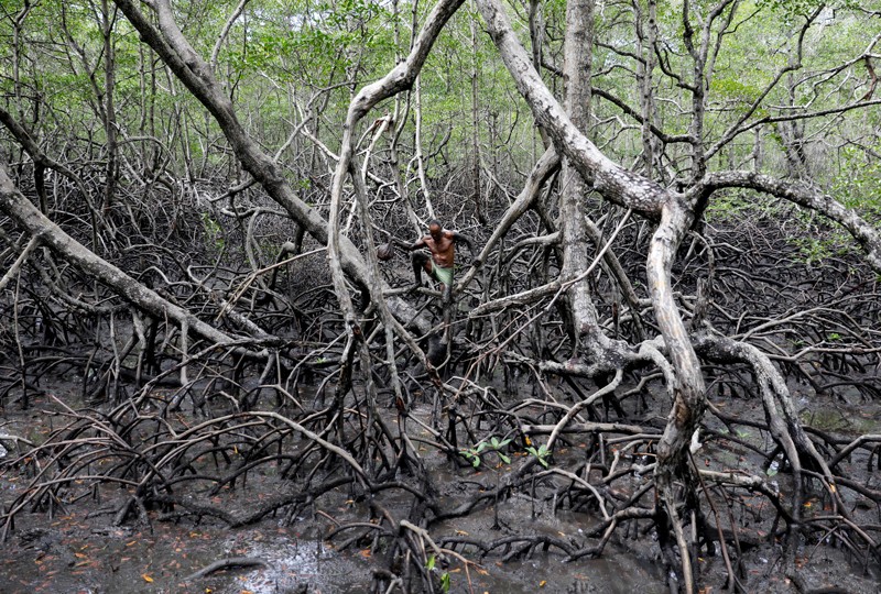 Fisherman Jose da Cruz walks holding a sack filled with crabs he caught at mangrove forests, Brazil
