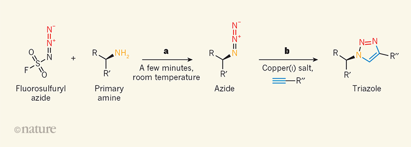 Double Click Enables Synthesis Of Chemical Libraries For