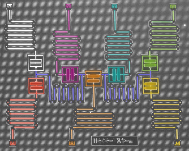 False-coloured optical micrograph of the superconducting quantum processor with seven transmon qubits.