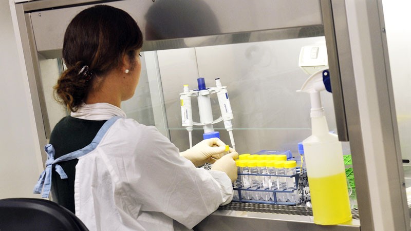 Medical scientist jobs melbourne australia