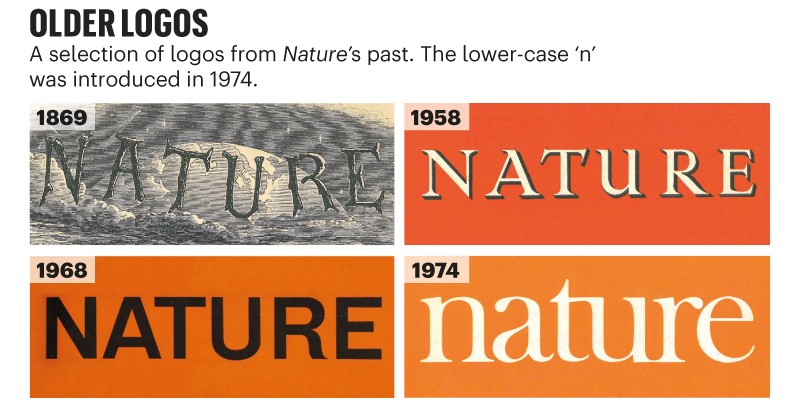 Specialitet Supermarked tyve The design decisions behind Nature's new look