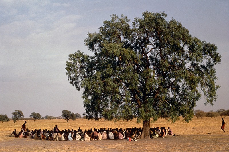 Shilluk tribes people gather in a circle under a large tree for traditional storytelling