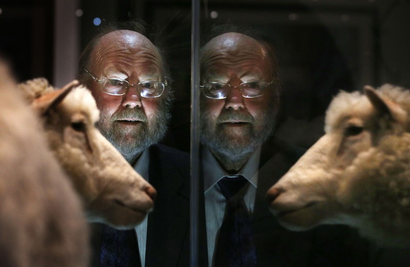 Sir Ian Wilmut looks at Dolly the sheep on display at an exhibition