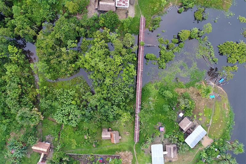 Photo taken by a drone in Amazonian Peru
