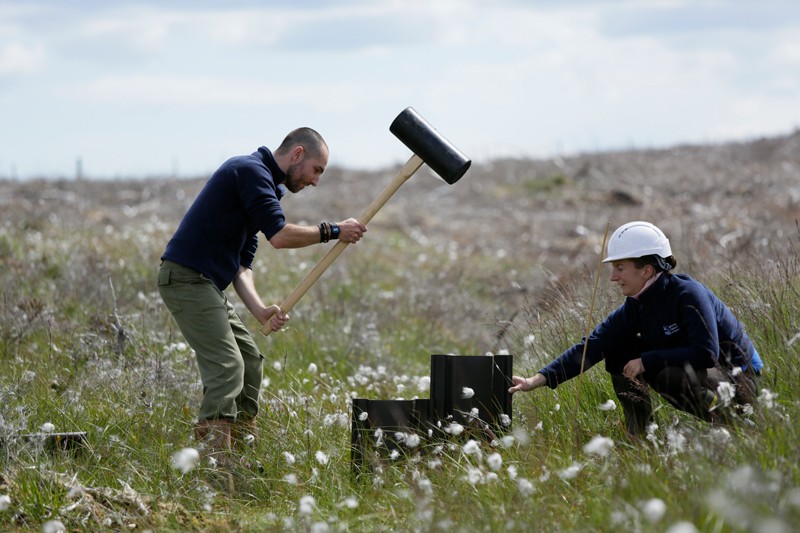 A man and women use a large mallet to install a small dam across a drain in Scottish peatland