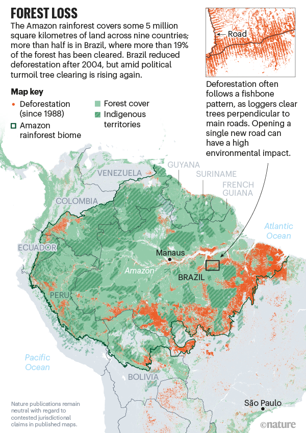 Forest loss. Map showing deforestation in Amazonia.