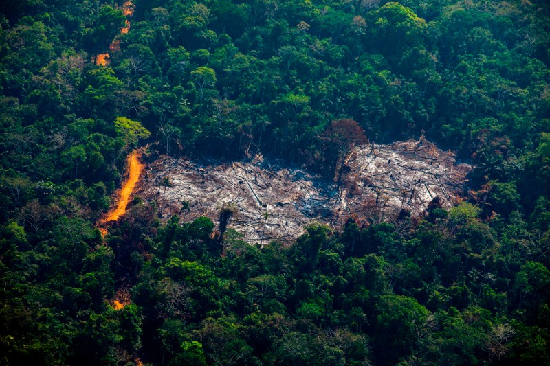 An aerial view of deforestation in the Amazon basin forest of Brazil.