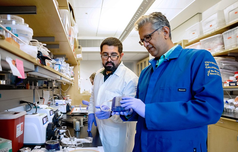 Dos investigadores examinan los componentes del prototipo de riñón artificial en un laboratorio