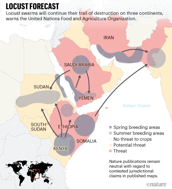 Why gigantic locust swarms are challenging governments and researchers