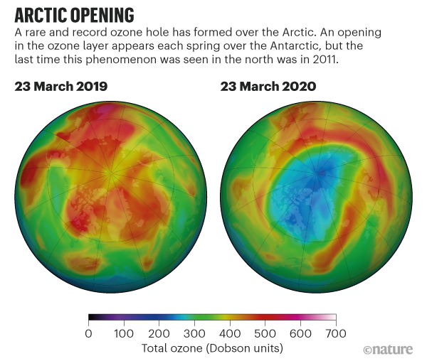 Rare Ozone Hole Opens Over Arctic And It S Big