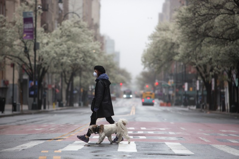 A woman walking her dog crosses the street wearing a face mask, New York City