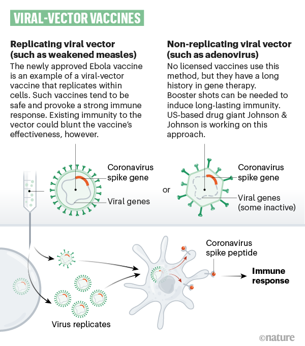 The Race For Coronavirus Vaccines: A Graphical Guide - COVID-19 HUB