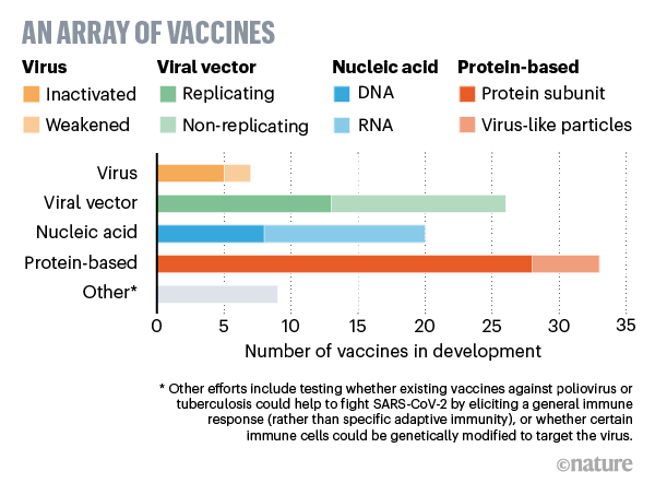 A graph that shows the number of coronavirus vaccines in development.
