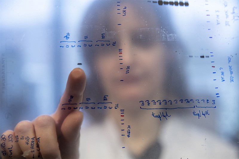 A researcher looks at a display of protein information