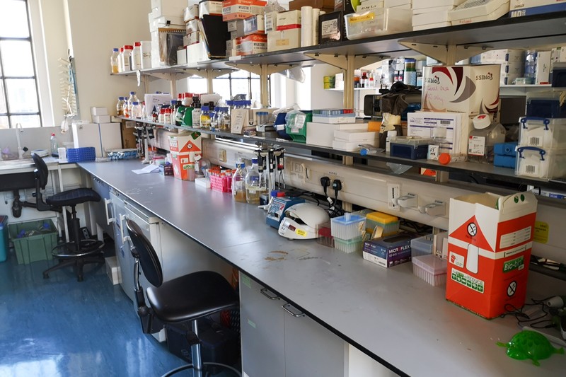 John Tregoning's tidy lab bench