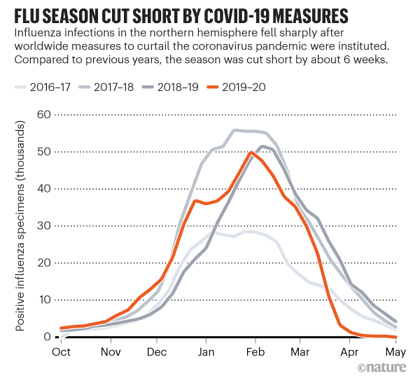 Line chart showing how COVID-19 measures have impacted influenza infections in the northern hemisphere.