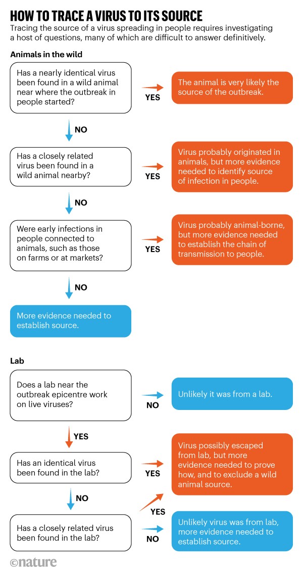 How to trace a virus to its source: Flowchart showing possible questions to ask in order to trace the source of a virus.