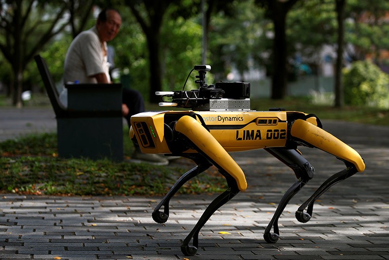 A four-legged robot dog called SPOT patrols a park as a safe distancing ambassador in Singapore