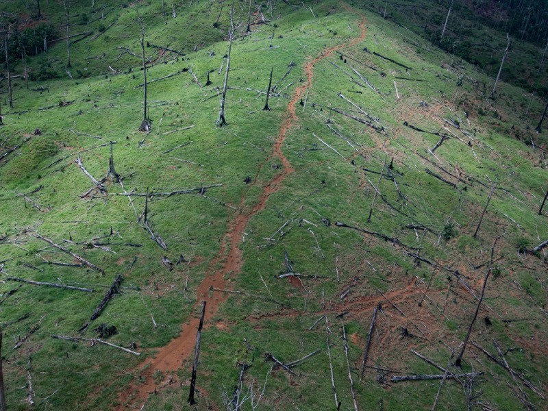Deforestation of hillsides in Guatemala.