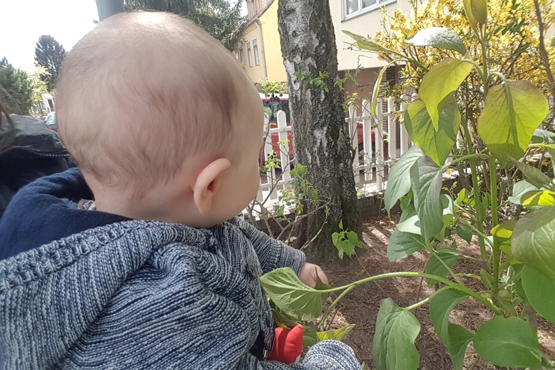 A baby looking towards a front yard