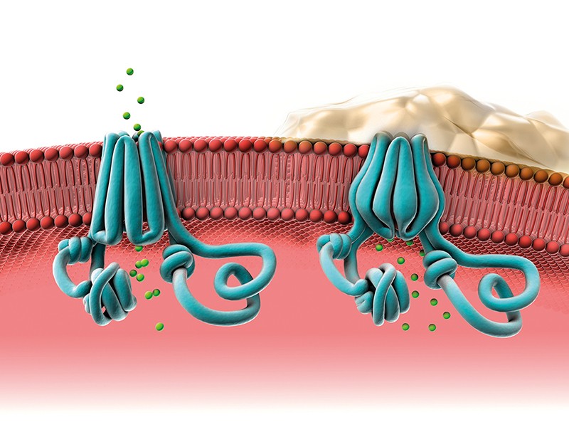 How Much Protein Function Needs To Be Restored In Cystic Fibrosis 4701