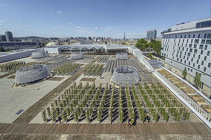 The largest urban plant farm in the world on a rooftop in Paris, France